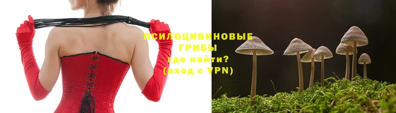 Галлюциногенные грибы Psilocybine cubensis  Кумертау 